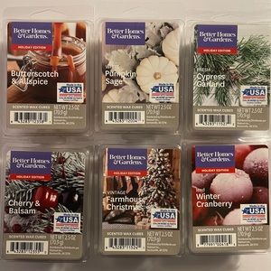 Scented Wax Cubes (Fall/Winter Scents)
